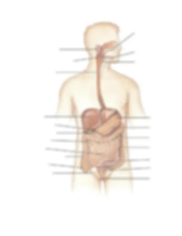 pf5