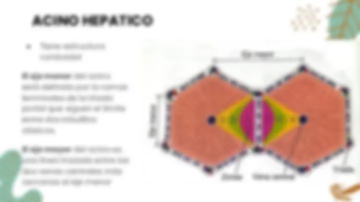 pf15