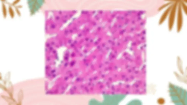 pf19