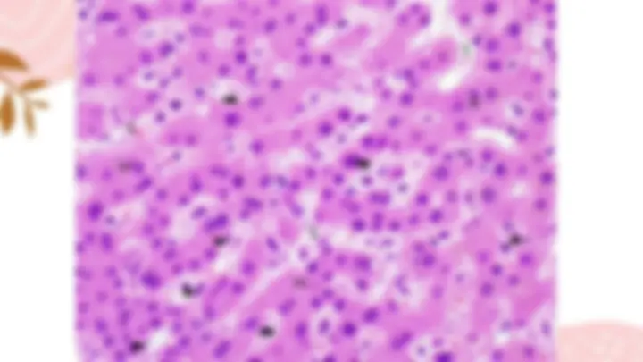pf21