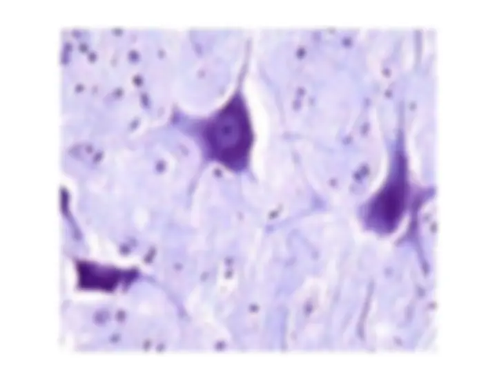 pf8