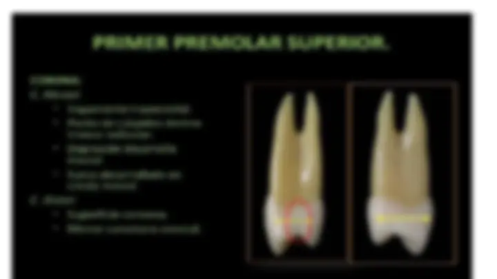 pf5