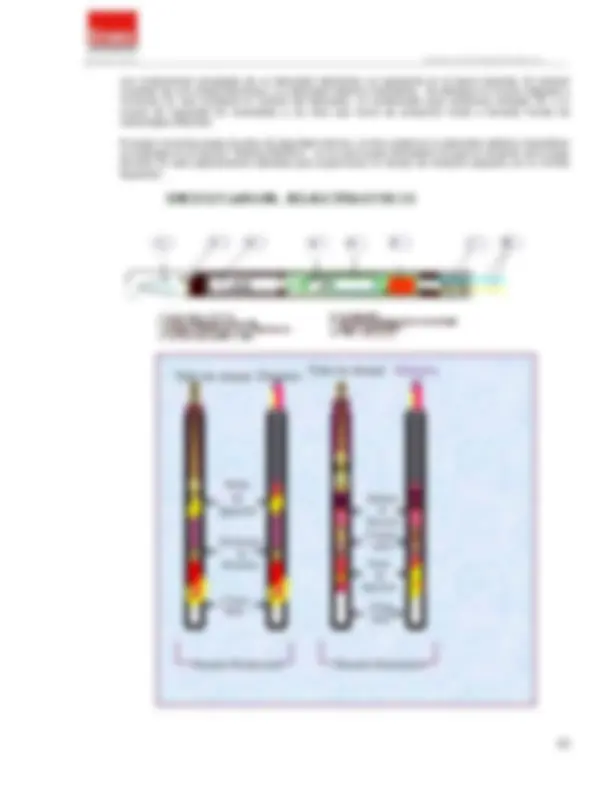 pf3e