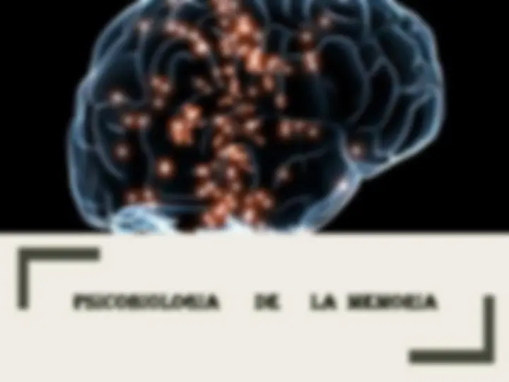 pf19