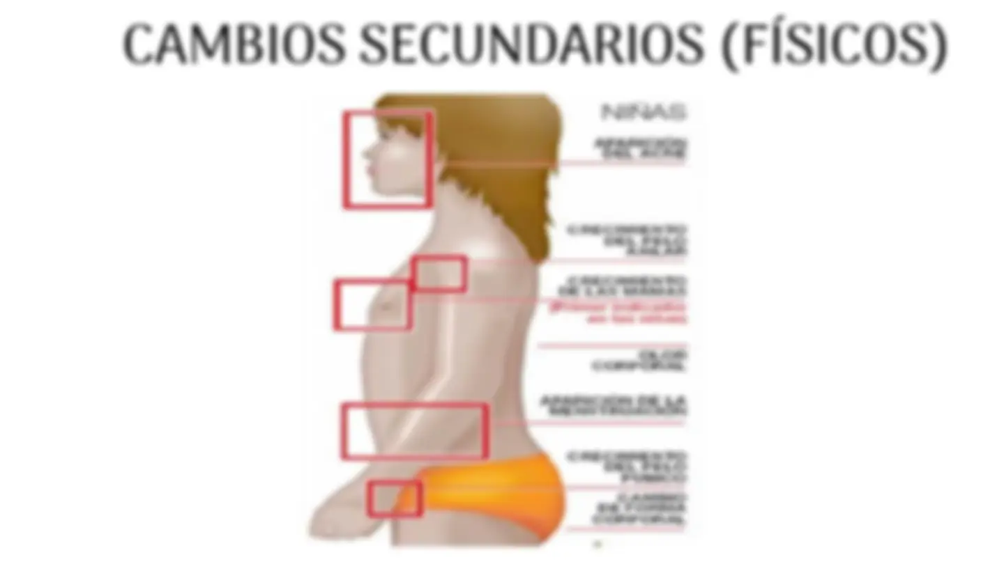 pf5