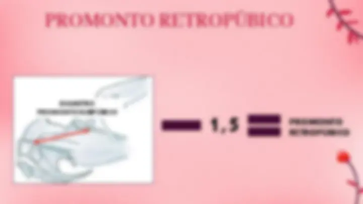 pf12