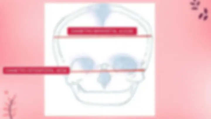 pfe
