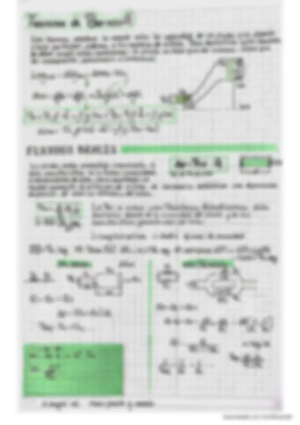 pf19