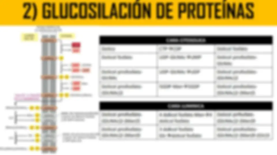 pf13