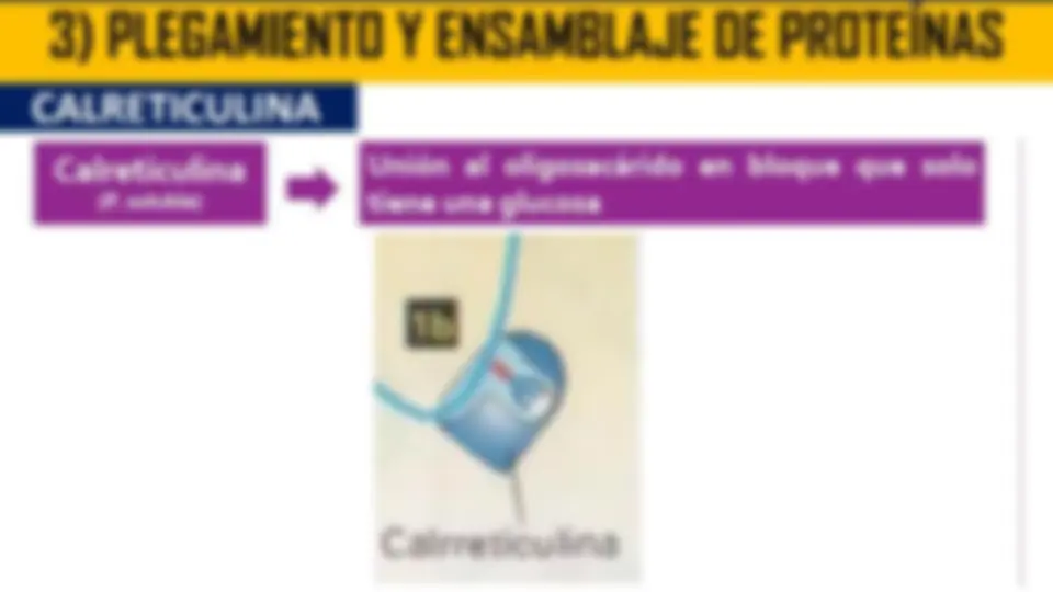 pf1d