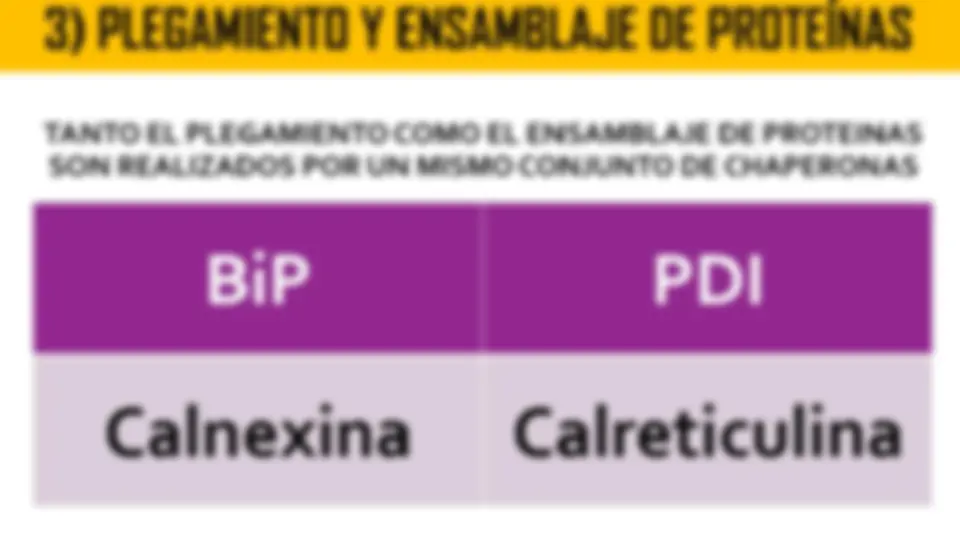 pf19