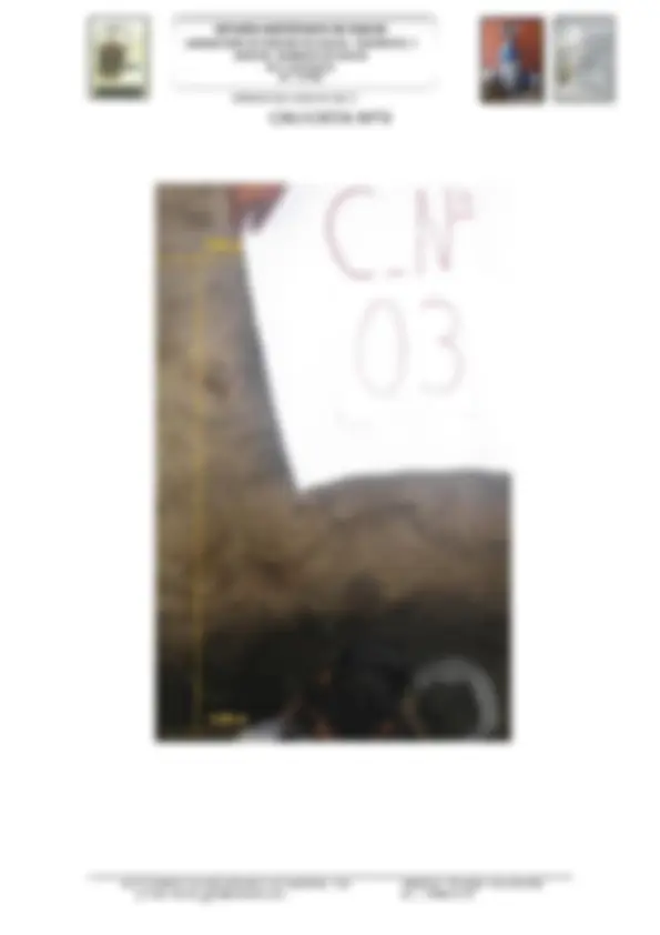 pf2a