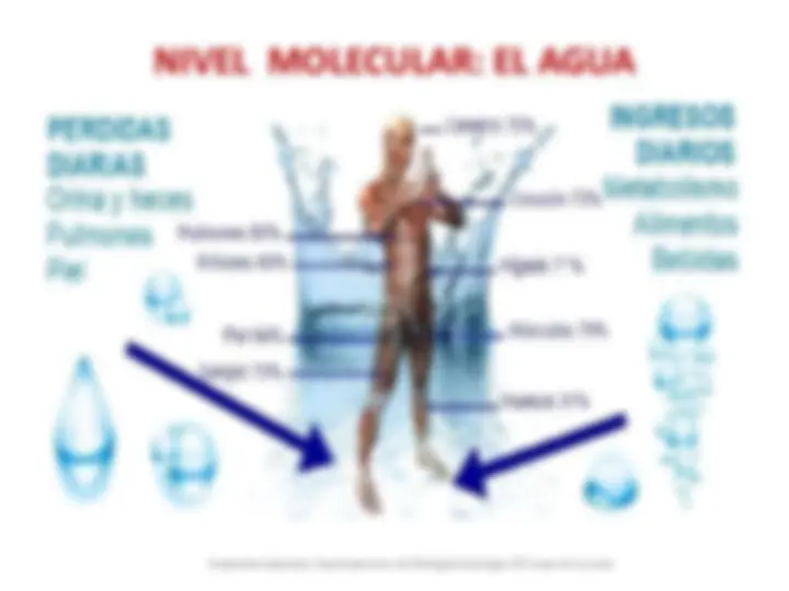 pff
