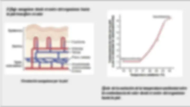 pf8