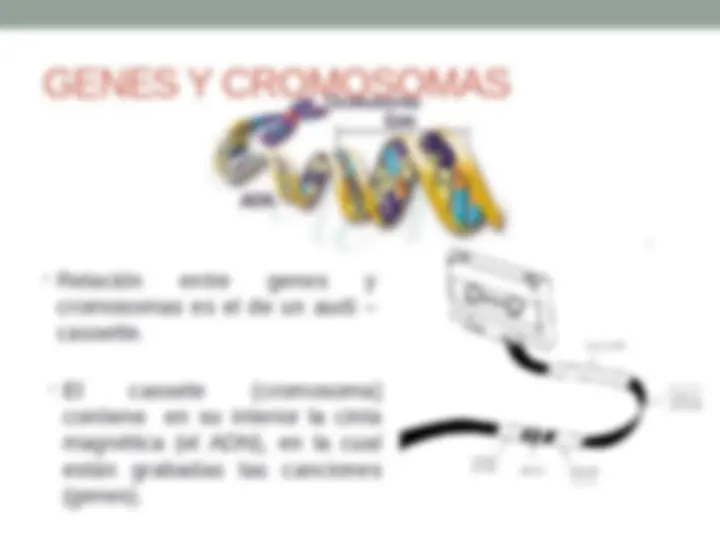 pf4