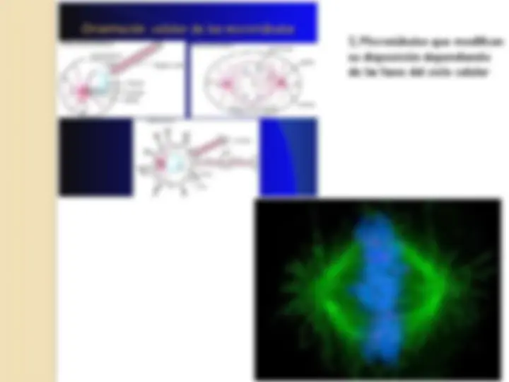 pfd