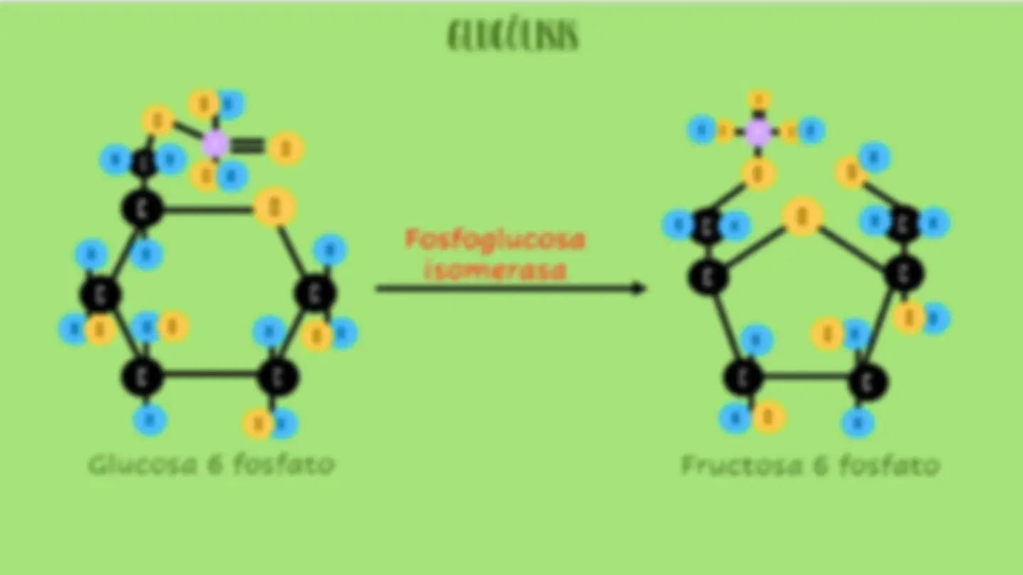 pf5