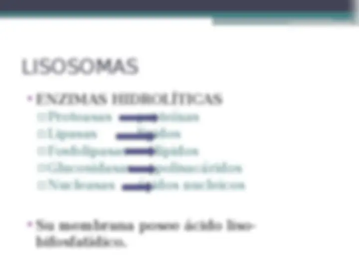 pf14