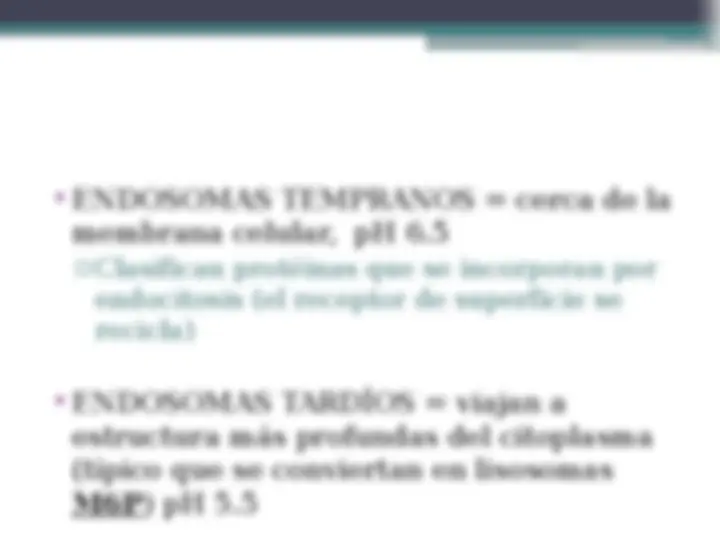 pf12