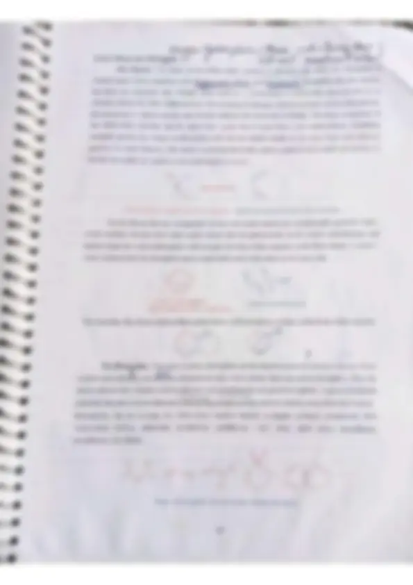 pf1b