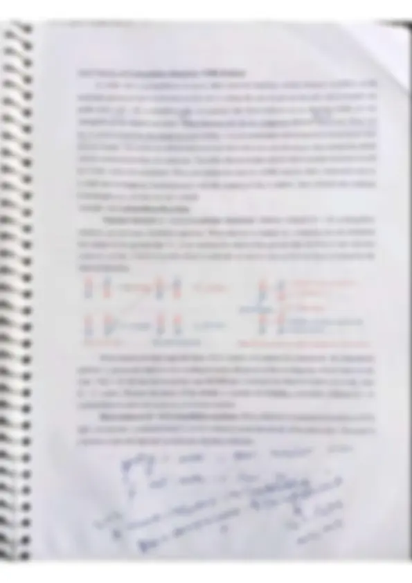 pf19