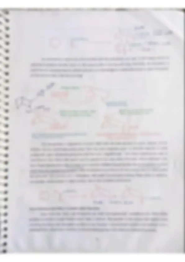 pf1f