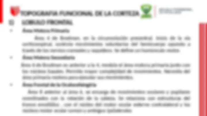 pf13