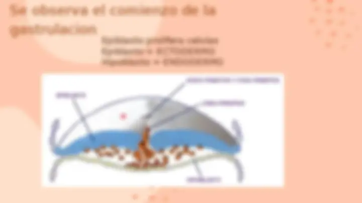 pf13