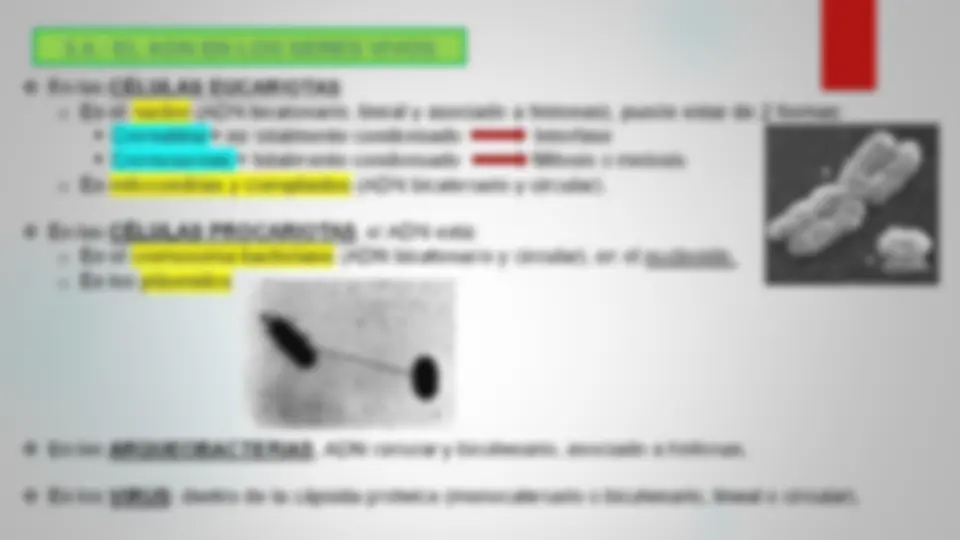 pff