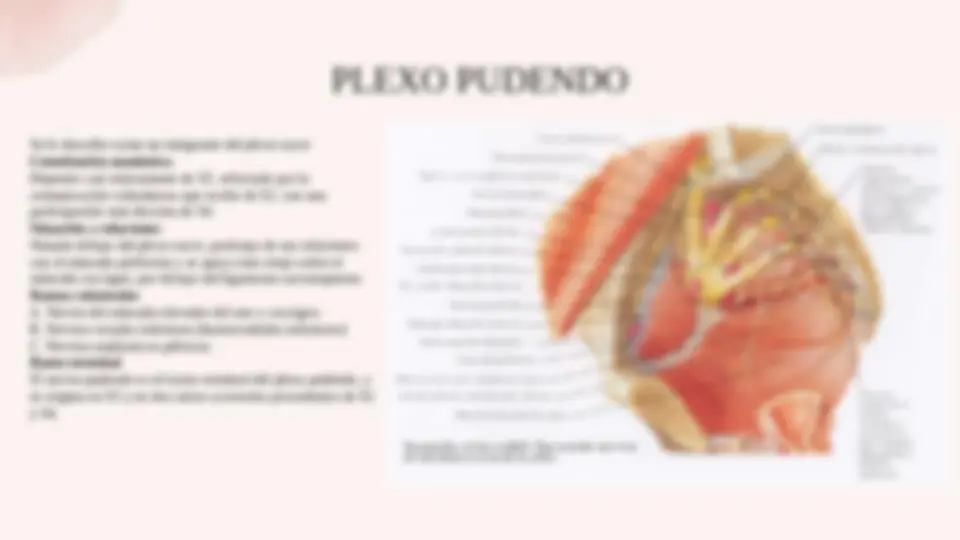 pf12