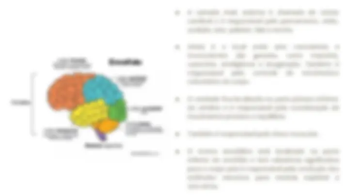 pf5