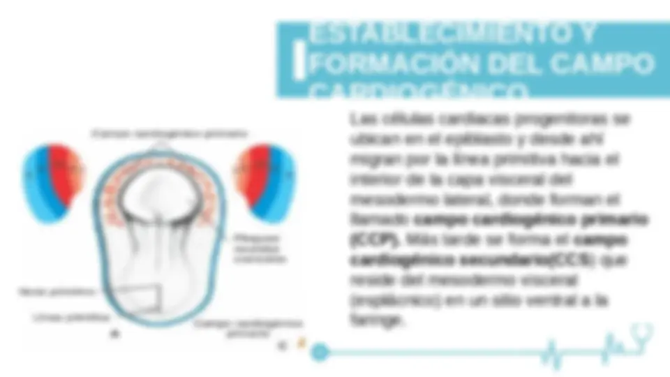 pf5