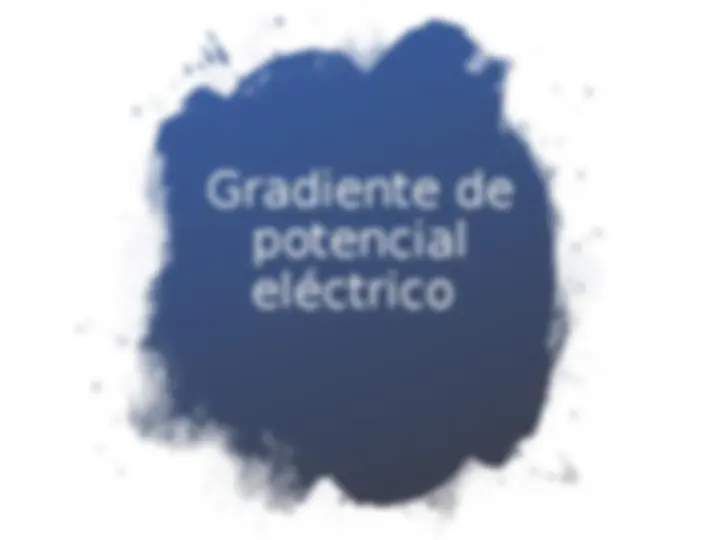pf13