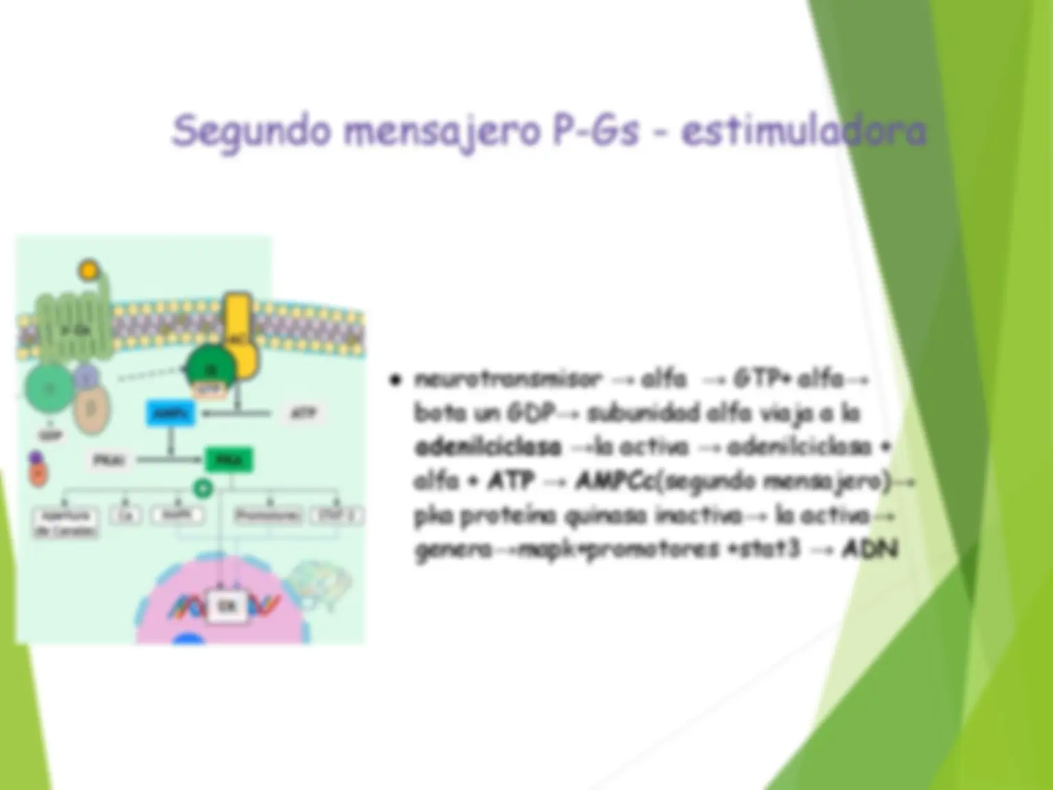 pf2e