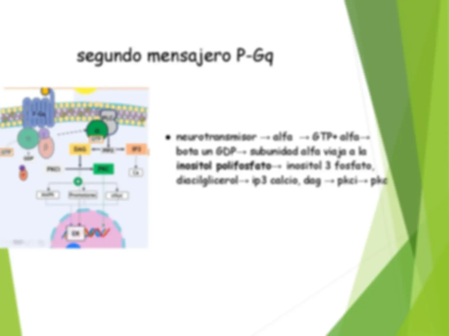 pf2f