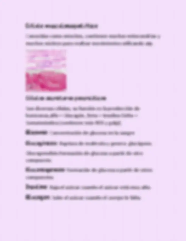 pf27