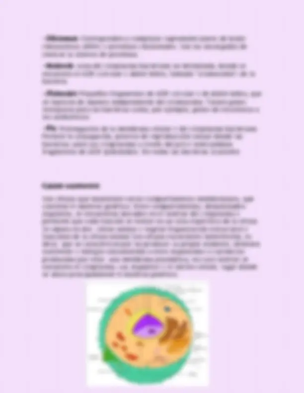 pf3
