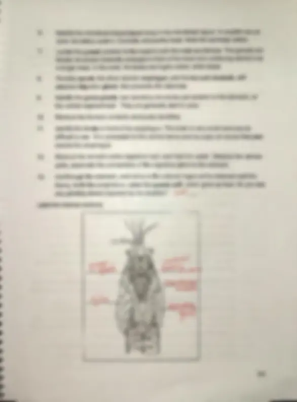 pf4