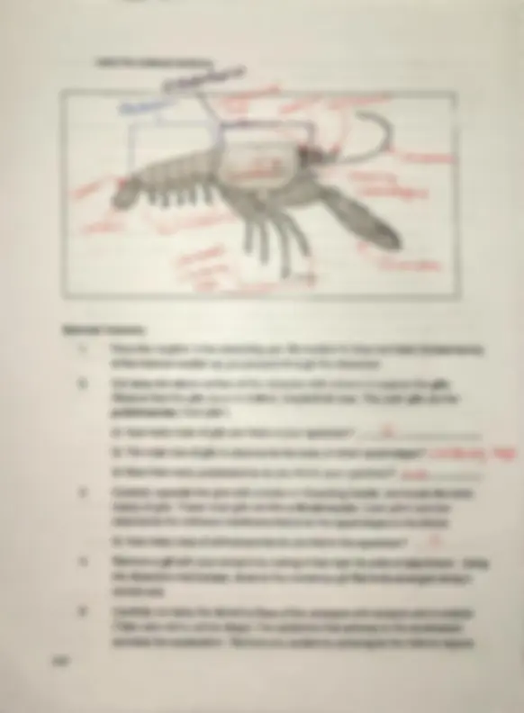 pf3