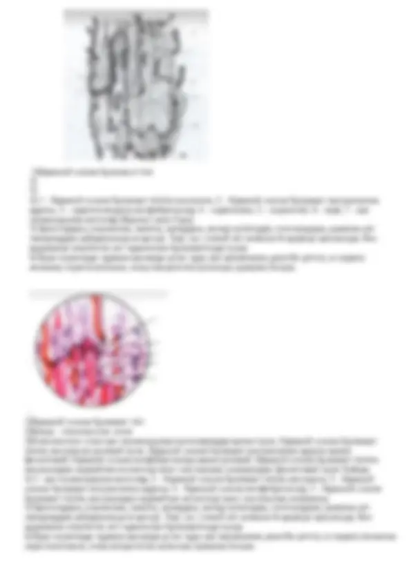 Смотреть порно: ағасы анальный секс онлайн сөйлеседі