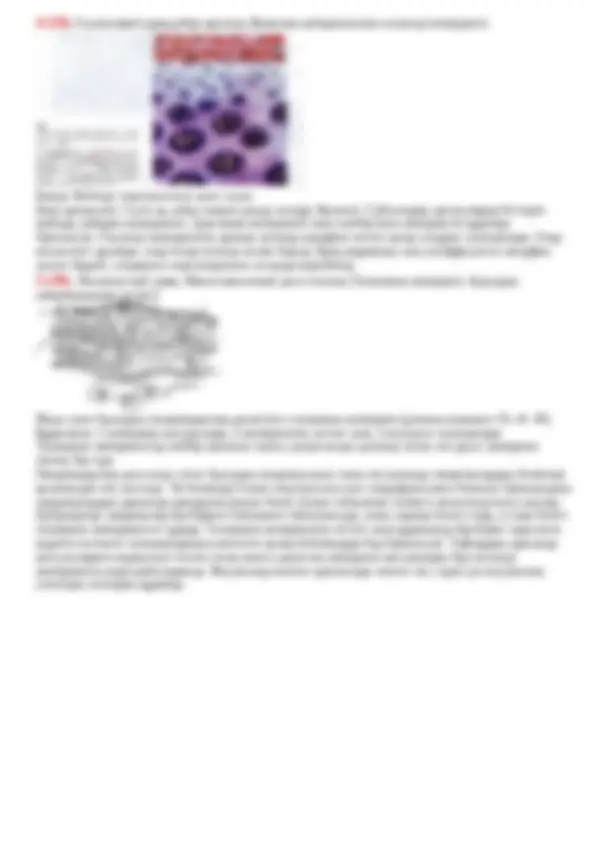 Ыстық лесбиянка порно онлайн