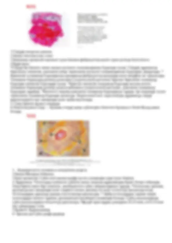 Вампир сарайларындағы секс