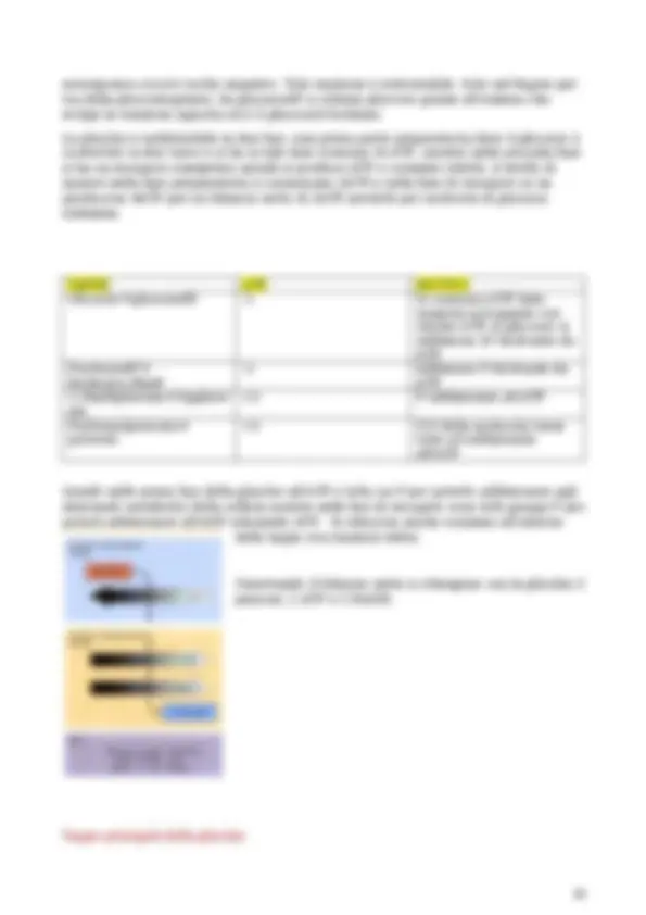 pf26