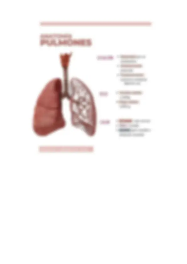 pfa
