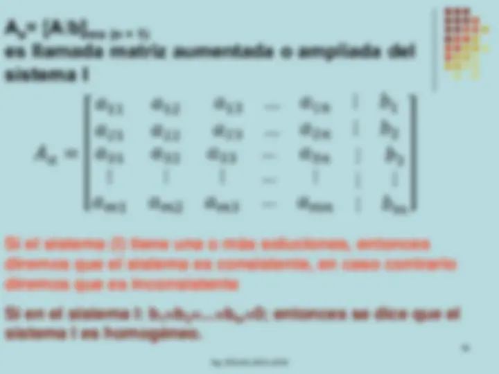 pf31