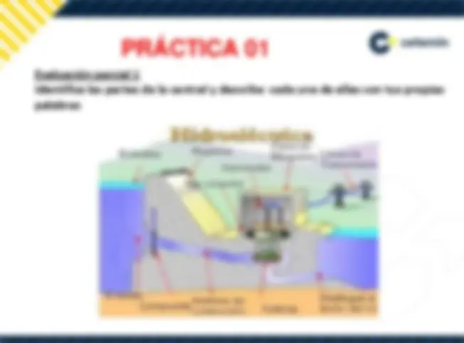 pf1c