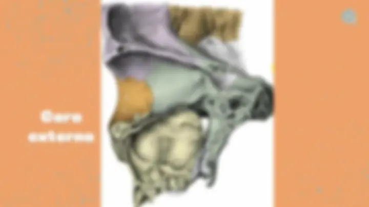 pf8