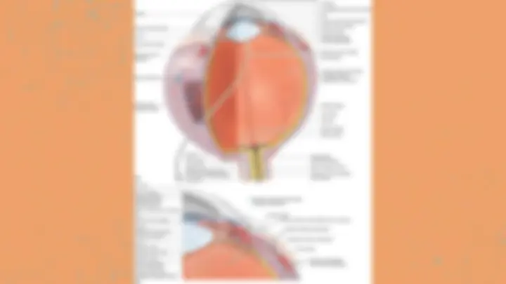 pf27