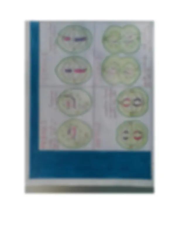 pf4