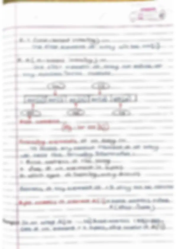 pf19
